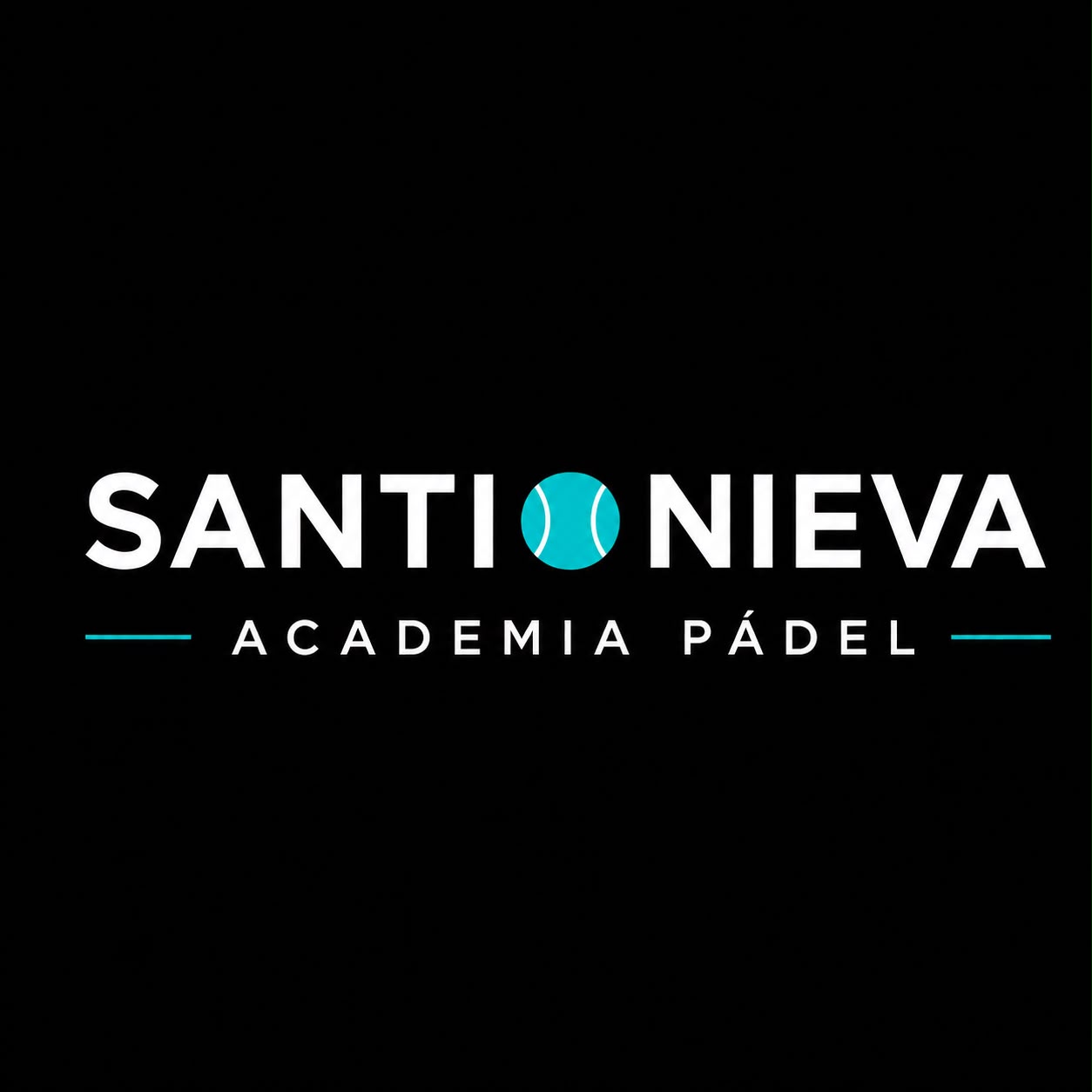 Logo de Santi Nieva